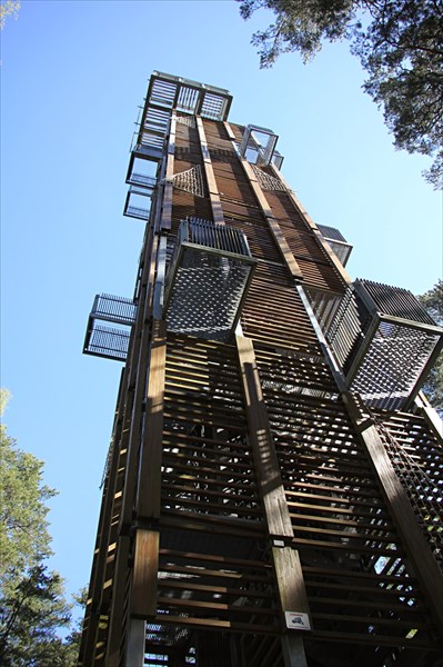 022-Дзинтари, лесопарк, башня